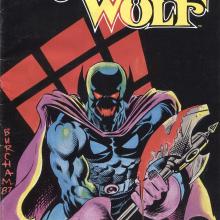 Dark Wolf #2, cover, art by Butch Burcham