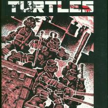 Teenage Mutant Ninja Turtles #1, Special Deluxe Edition, cover, art by Kevin Eastman and Peter Laird